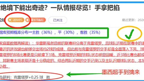 欧青赛9胜6期号分析：青年军对决预测